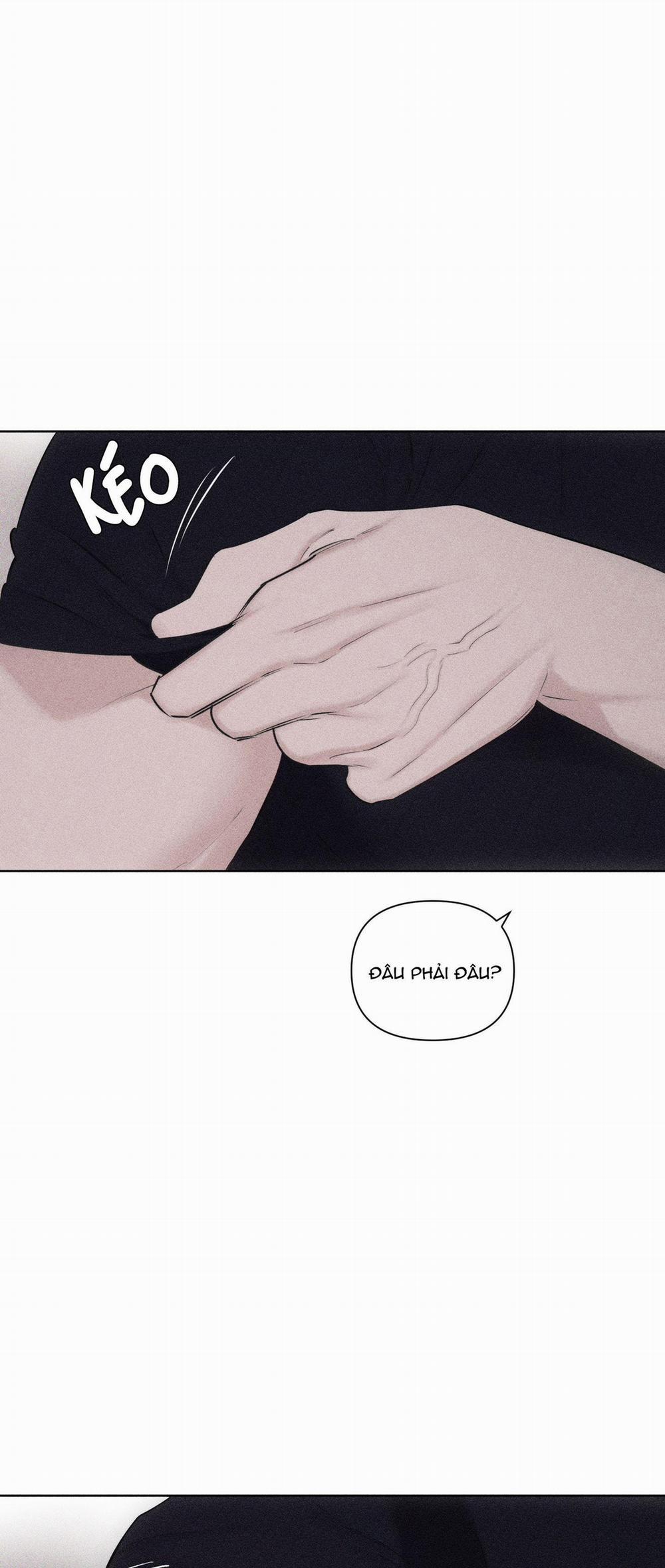 Hình Thái Tình Tan 17 trang 46