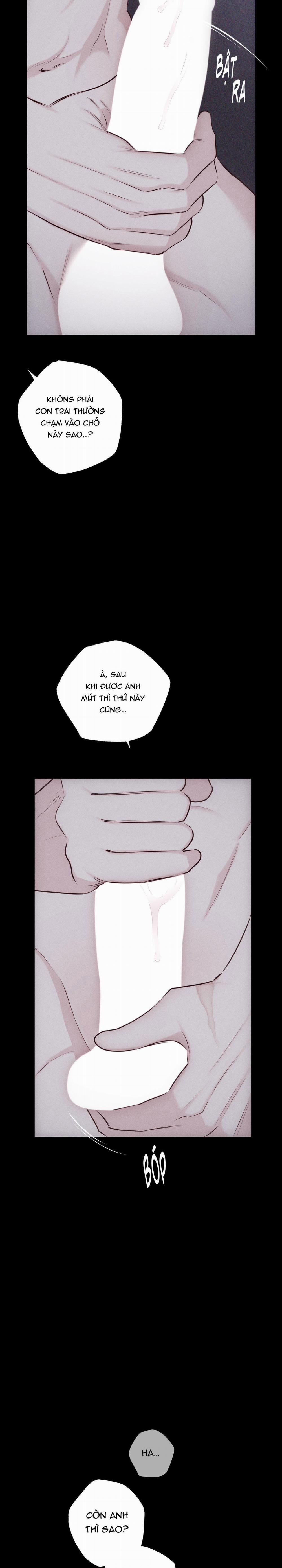 Hình Thái Tình Tan 20 trang 15