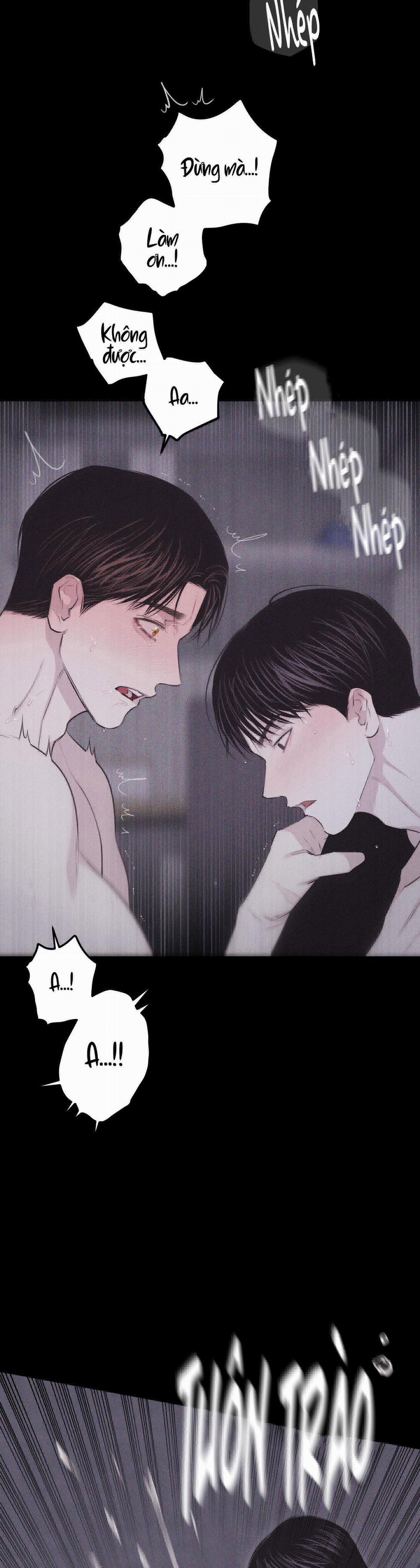 Hình Thái Tình Tan 20 trang 29