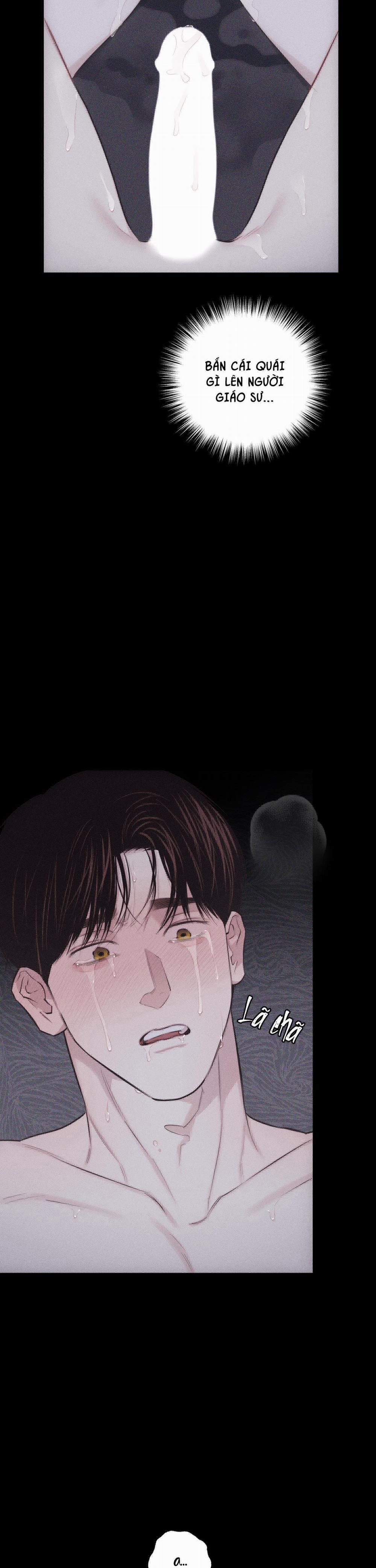 Hình Thái Tình Tan 21 trang 2