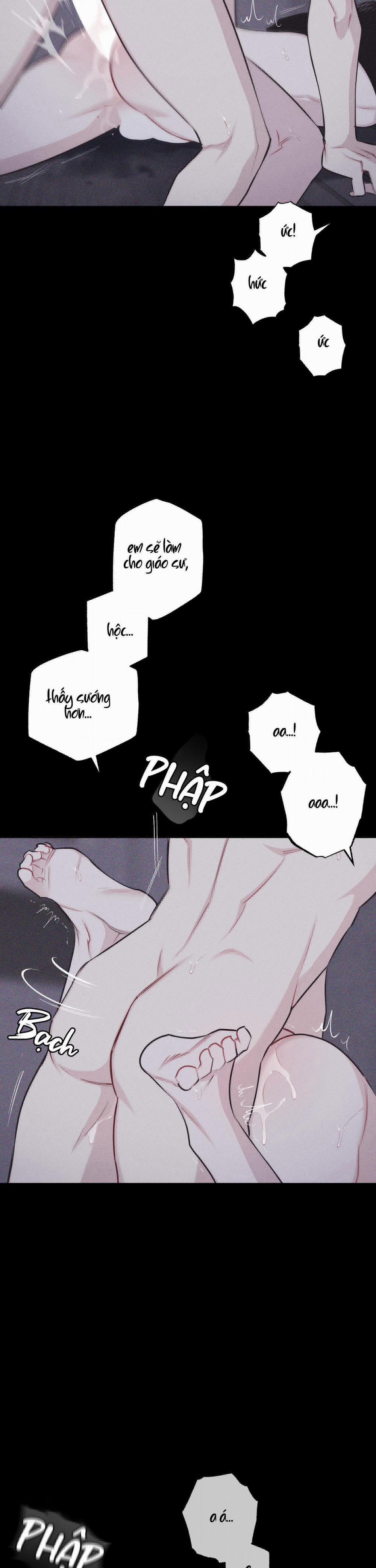 Hình Thái Tình Tan 21 trang 22