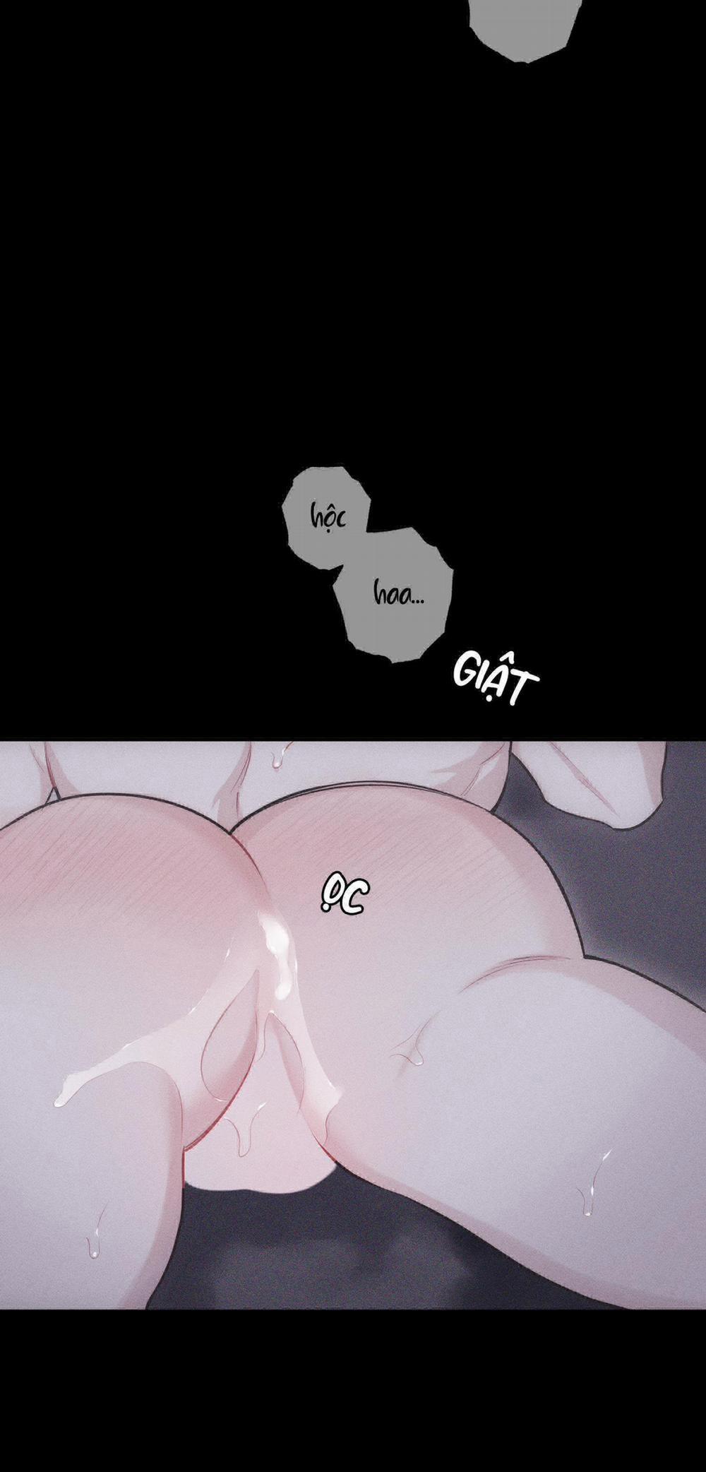 Hình Thái Tình Tan 21 trang 36