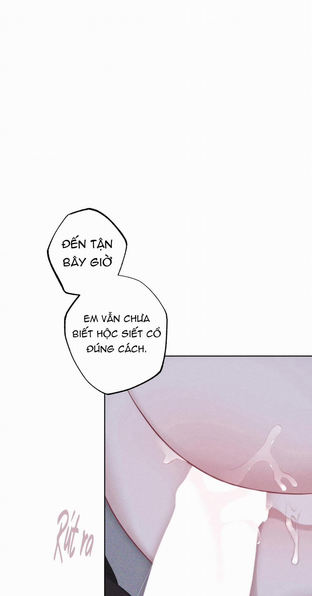 Hình Thái Tình Tan 23 H+ trang 48