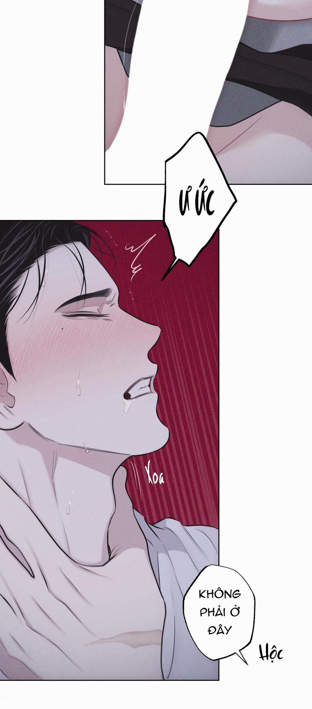 Hình Thái Tình Tan 23 H+ trang 49