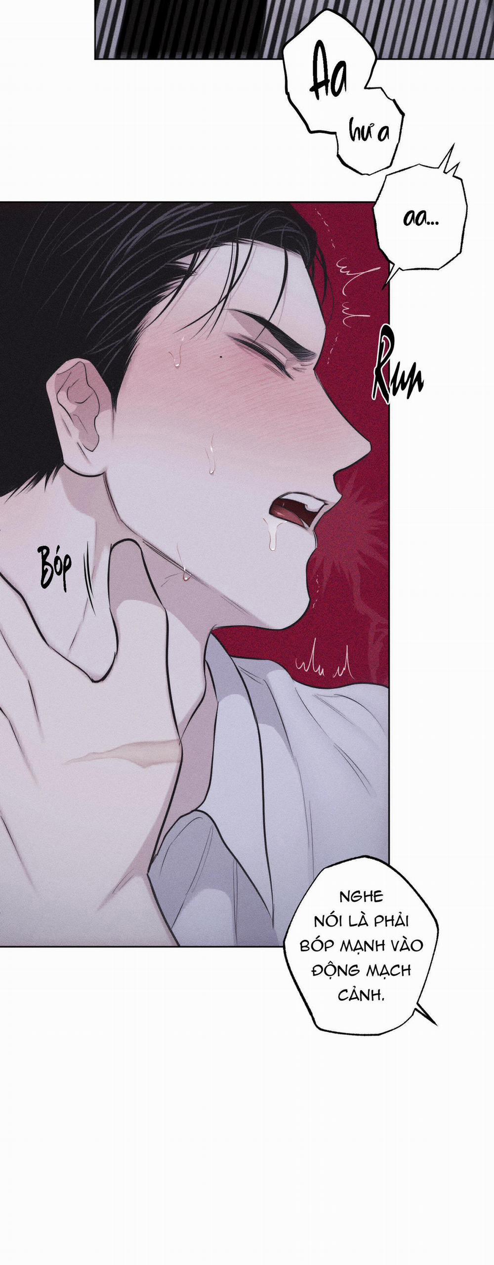 Hình Thái Tình Tan 23 trang 52