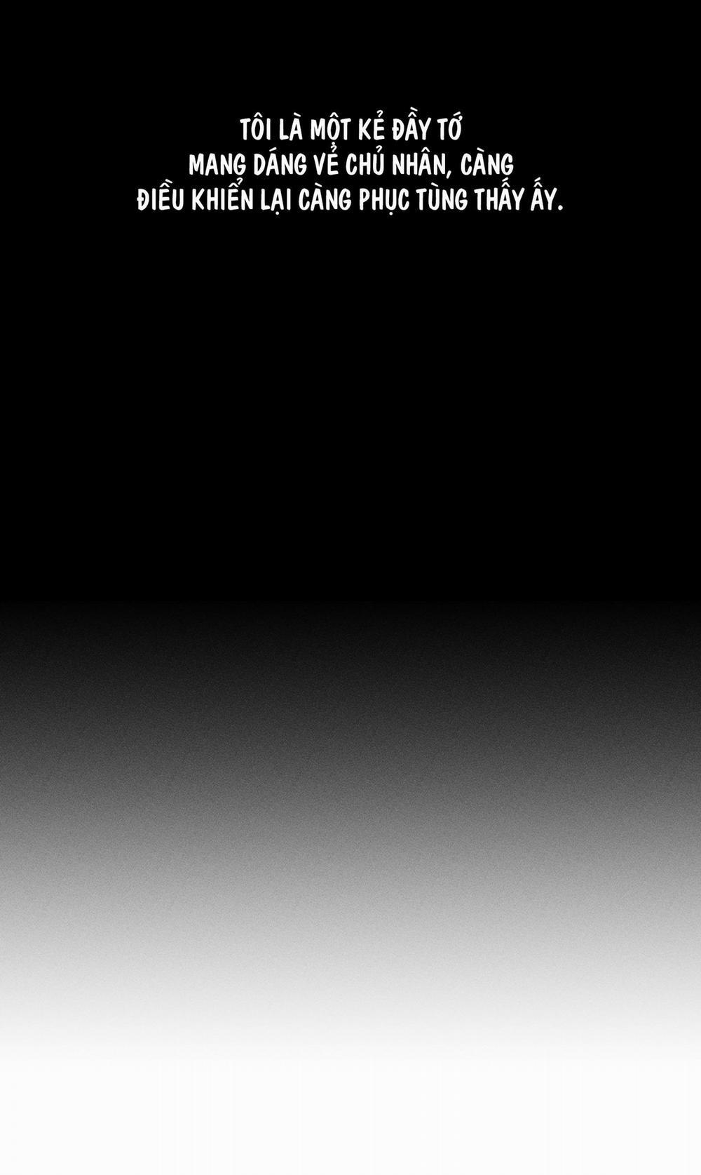 Hình Thái Tình Tan 24 H+ trang 20