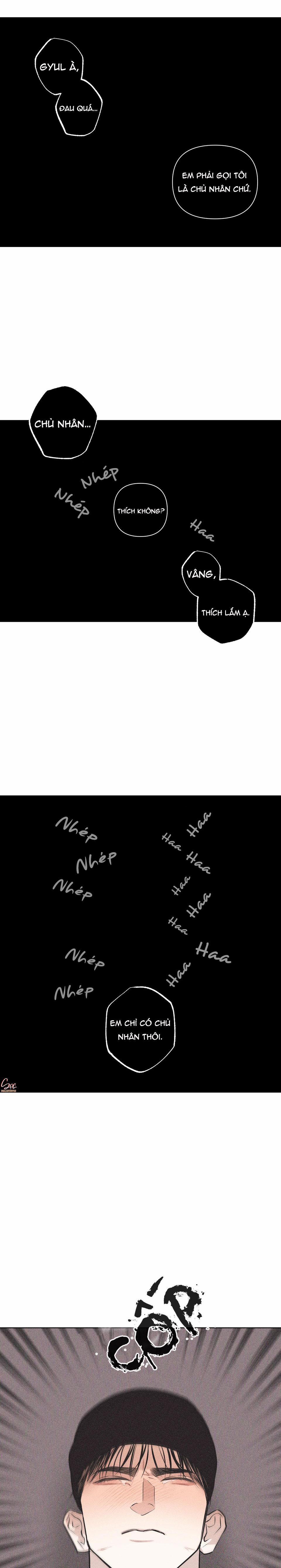 Hình Thái Tình Tan 25 trang 16