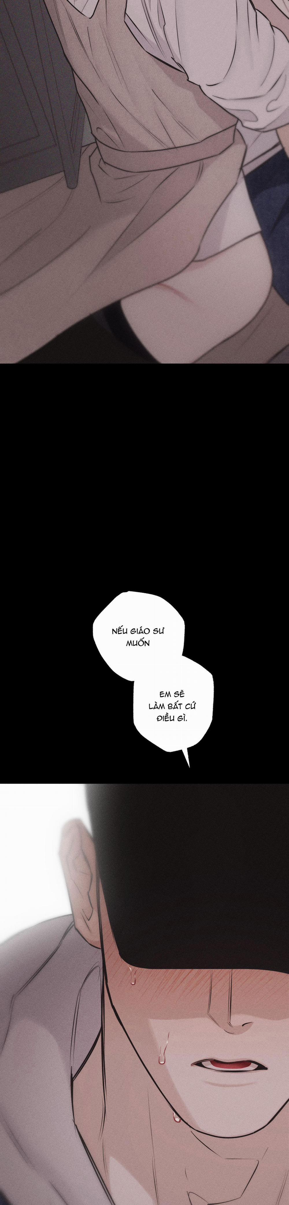 Hình Thái Tình Tan 26 H++ trang 2