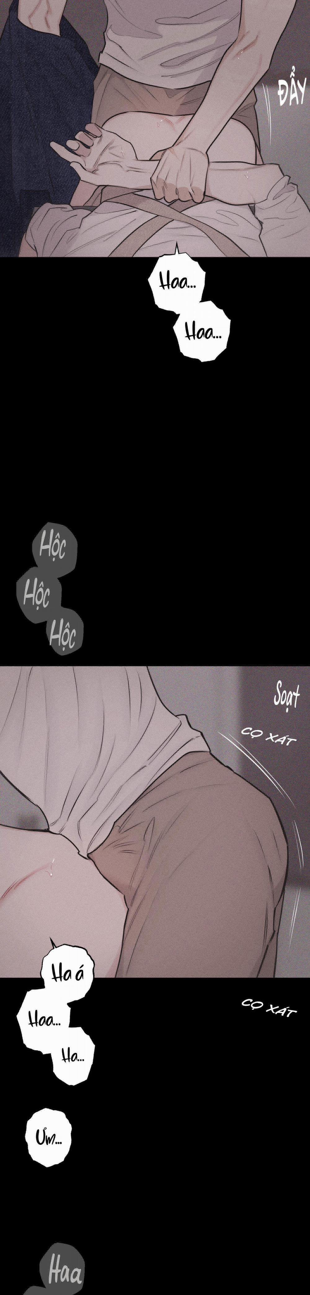 Hình Thái Tình Tan 26 trang 11