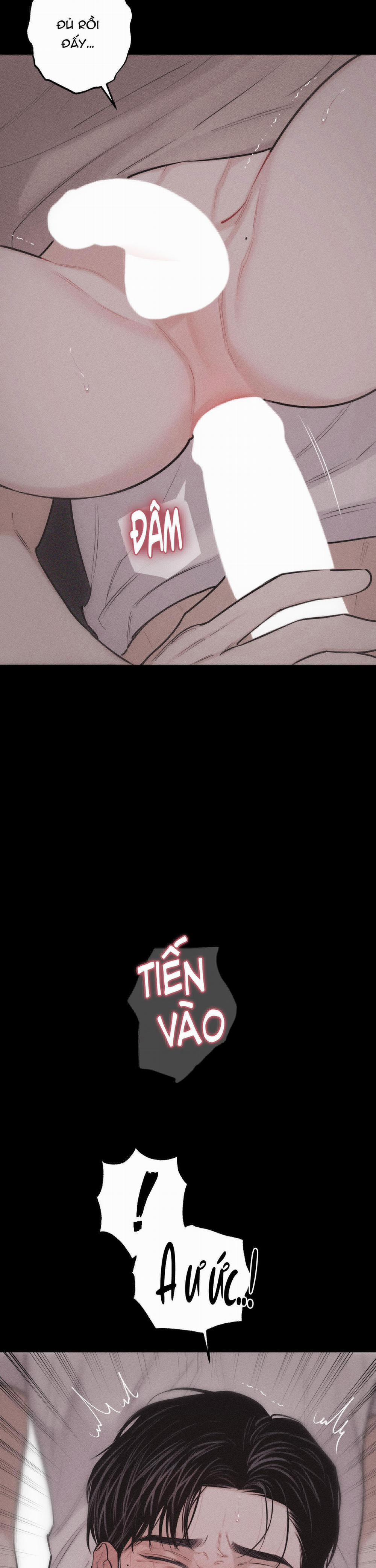 Hình Thái Tình Tan 26 trang 13