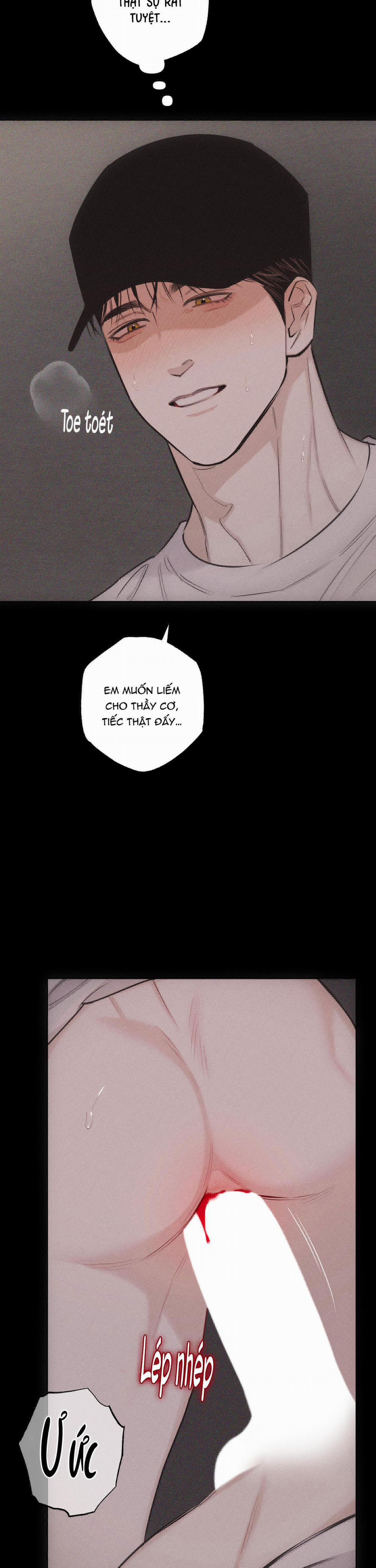 Hình Thái Tình Tan 26 trang 17