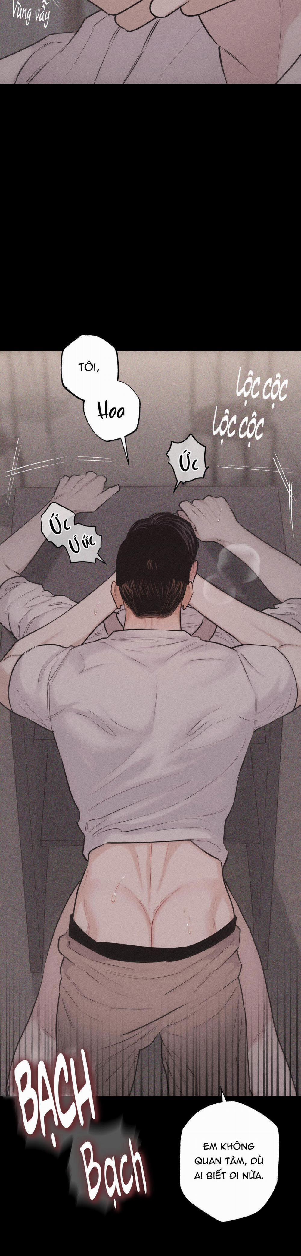 Hình Thái Tình Tan 26 trang 24