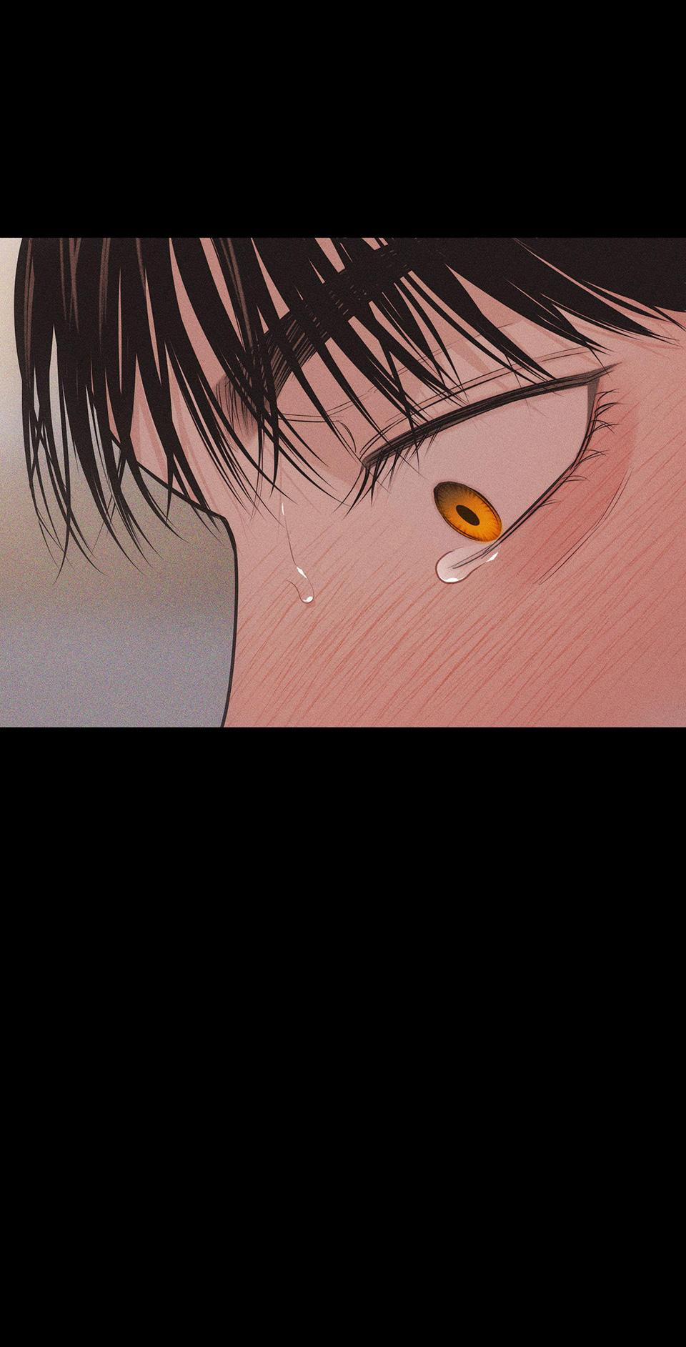 Hình Thái Tình Tan 27 trang 54