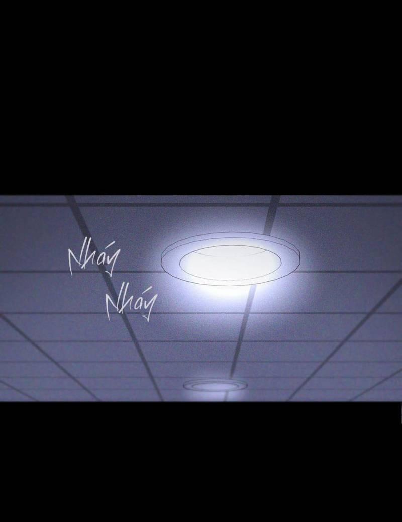 Hình Thái Tình Tan 28 trang 38