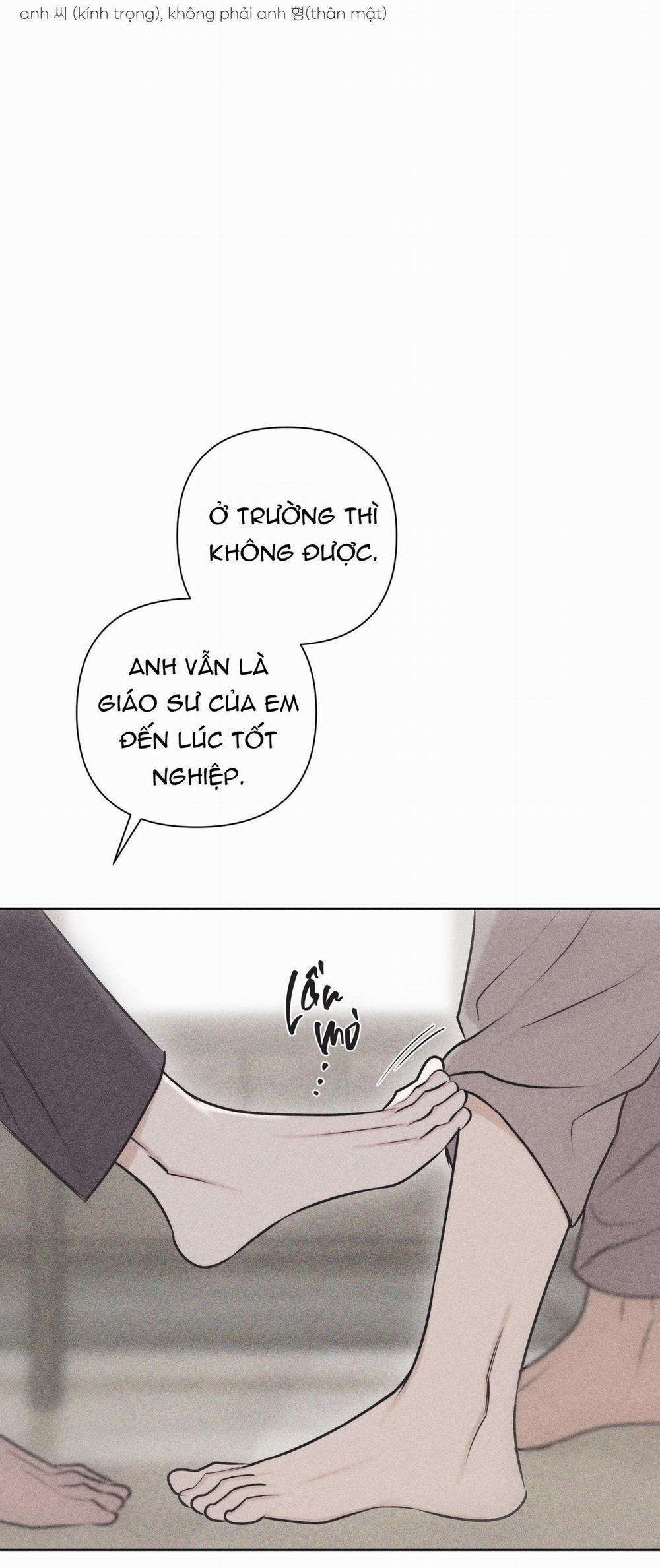 Hình Thái Tình Tan 29 trang 31