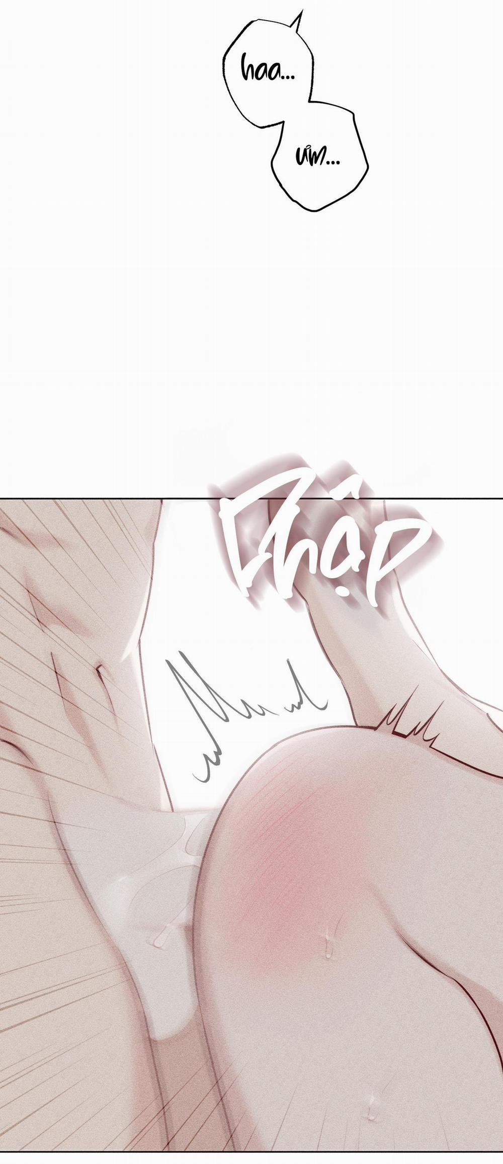 Hình Thái Tình Tan 29 trang 41