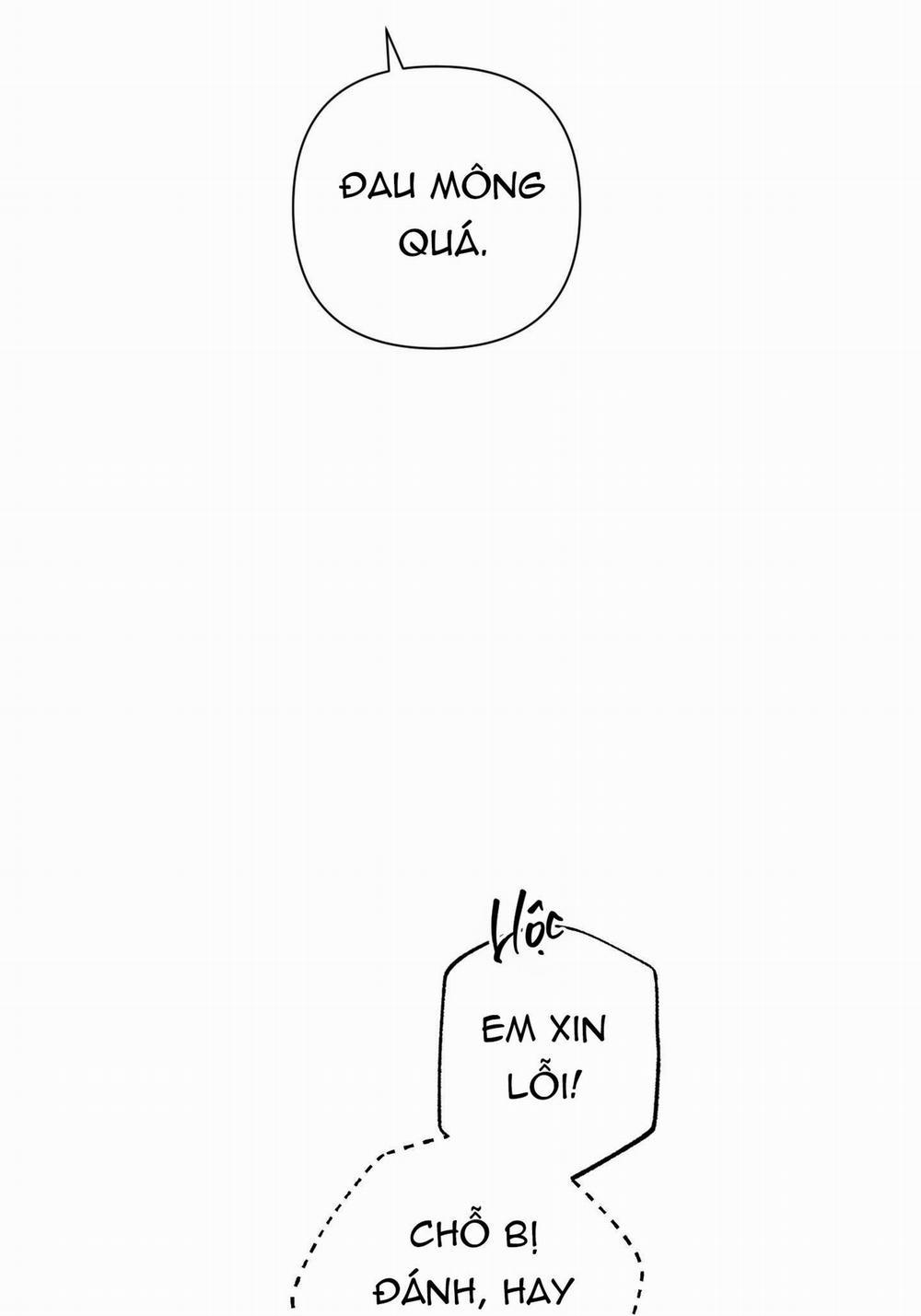 Hình Thái Tình Tan 29 trang 43