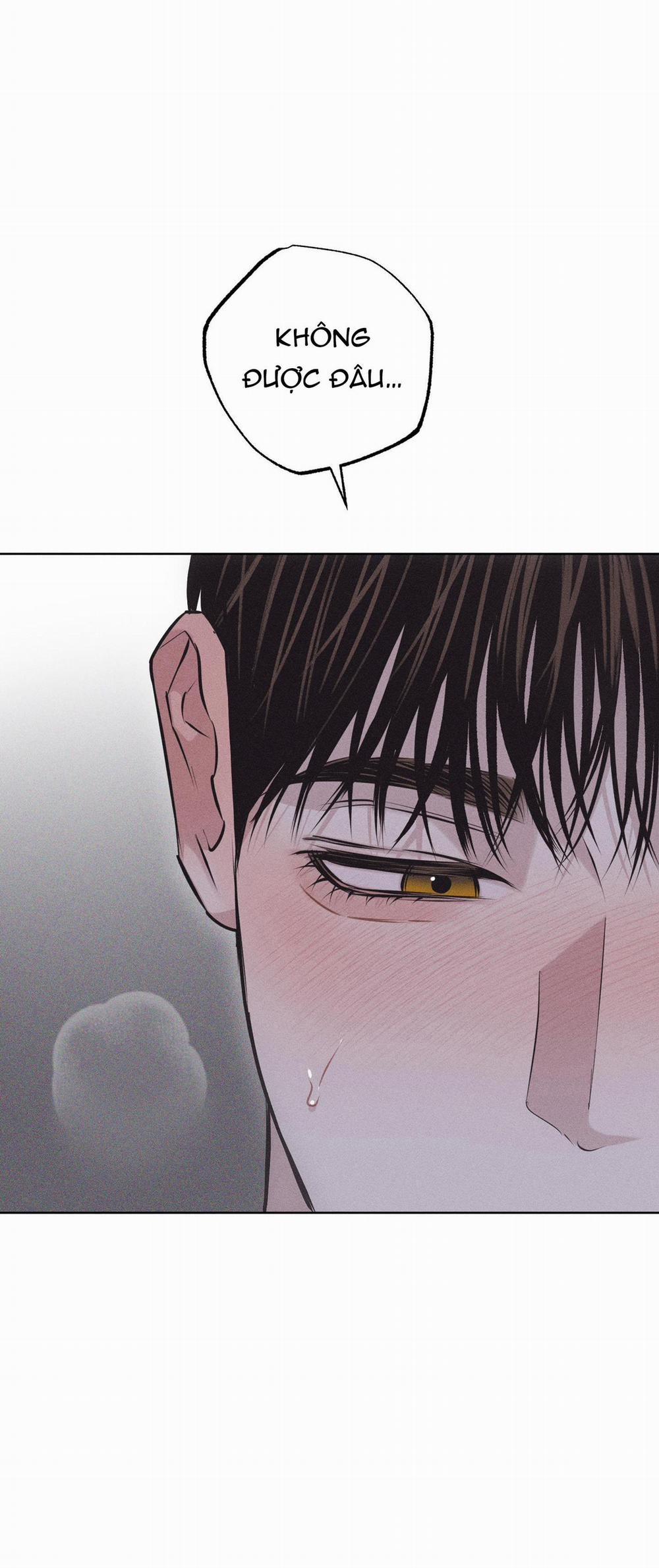 Hình Thái Tình Tan 29 trang 65