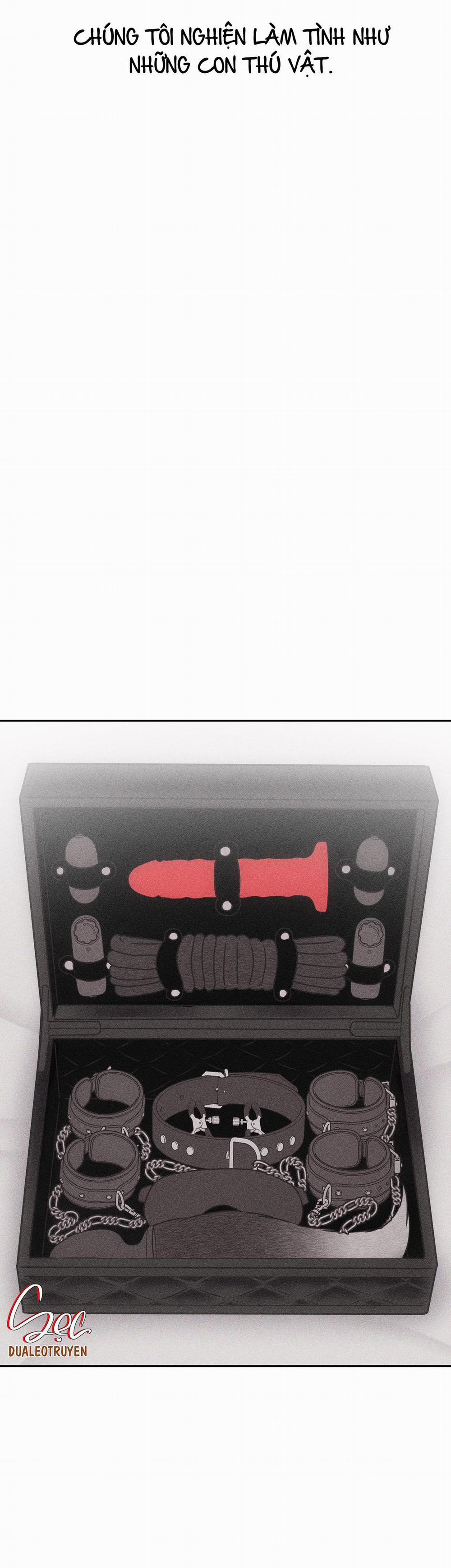 Hình Thái Tình Tan 29 trang 69