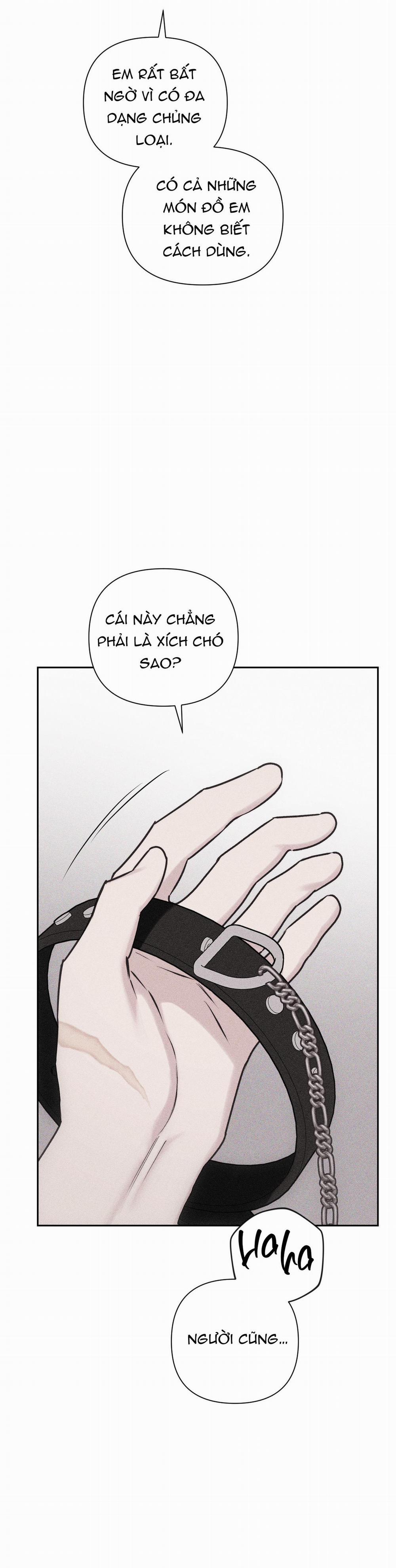 Hình Thái Tình Tan 29 trang 71