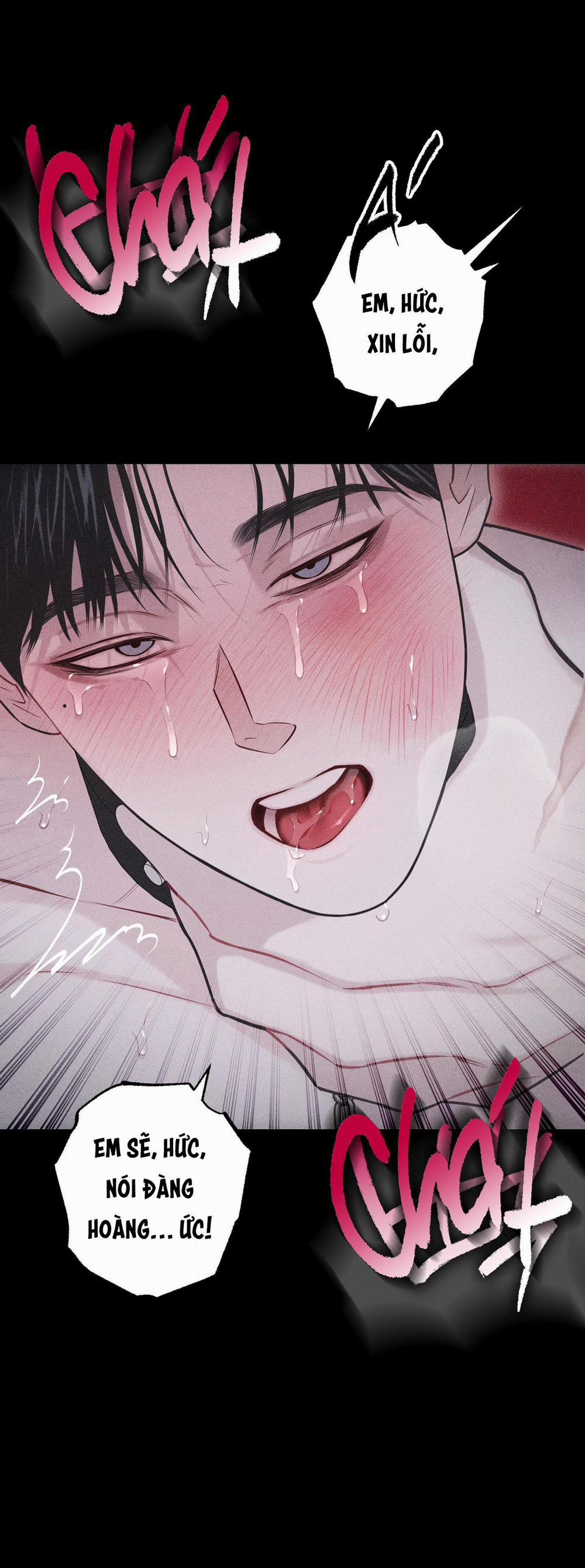 Hình Thái Tình Tan 30 trang 30