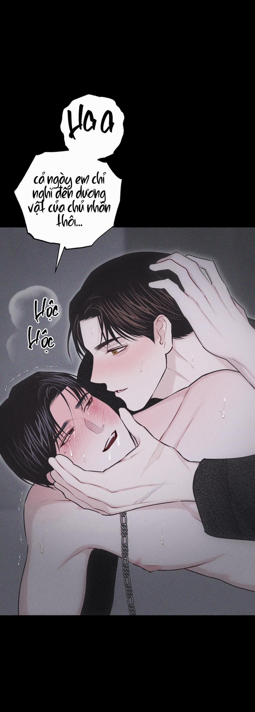 Hình Thái Tình Tan 30 trang 33