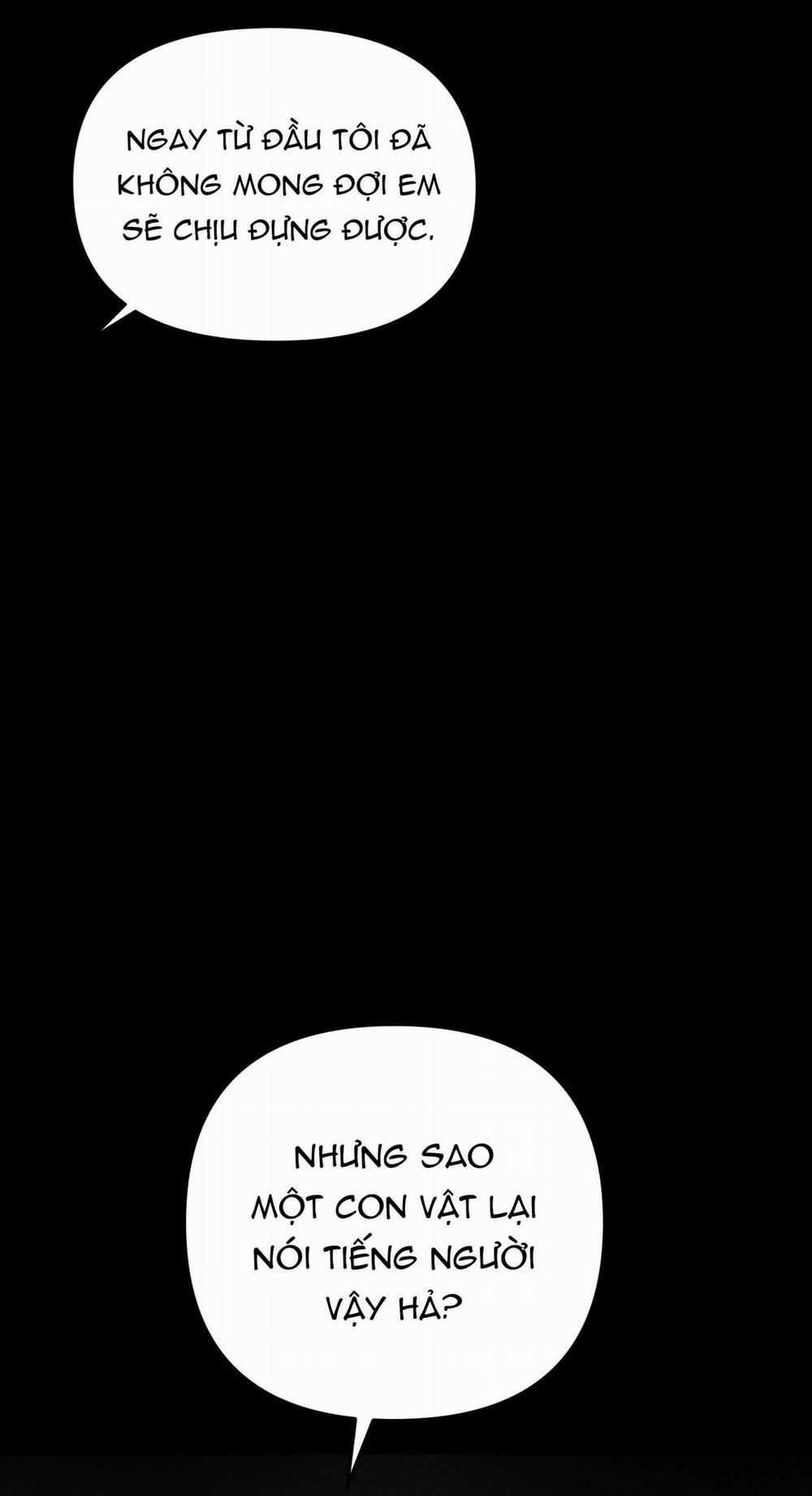 Hình Thái Tình Tan 30 trang 48