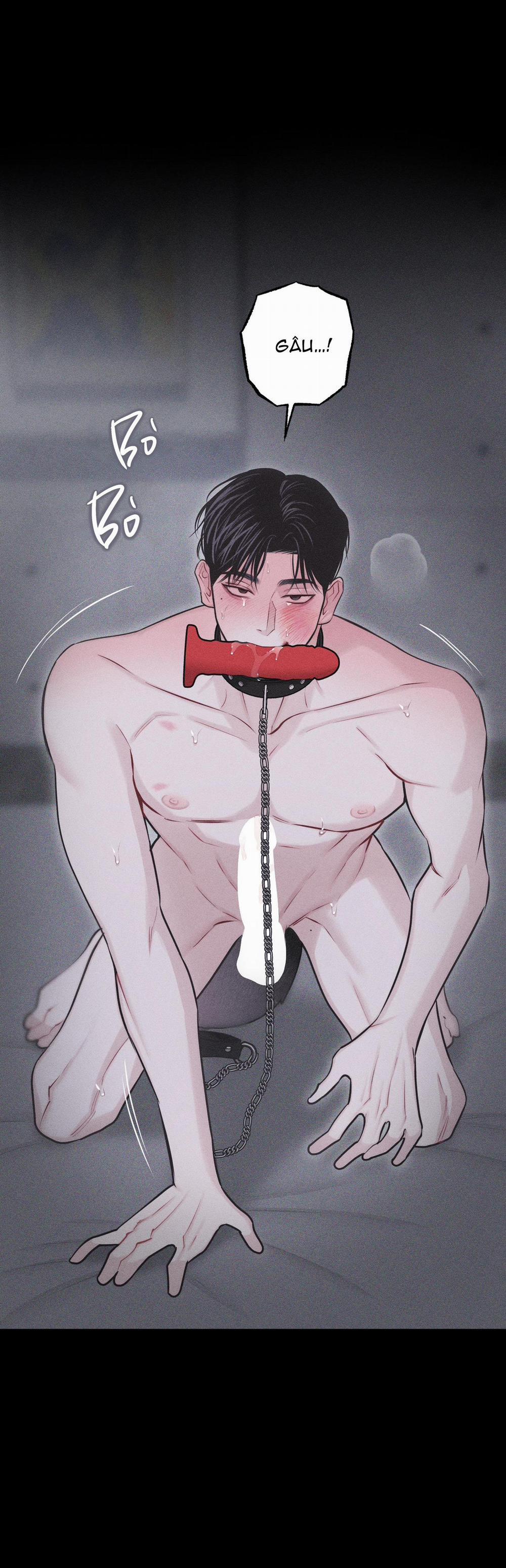 Hình Thái Tình Tan 30 trang 54