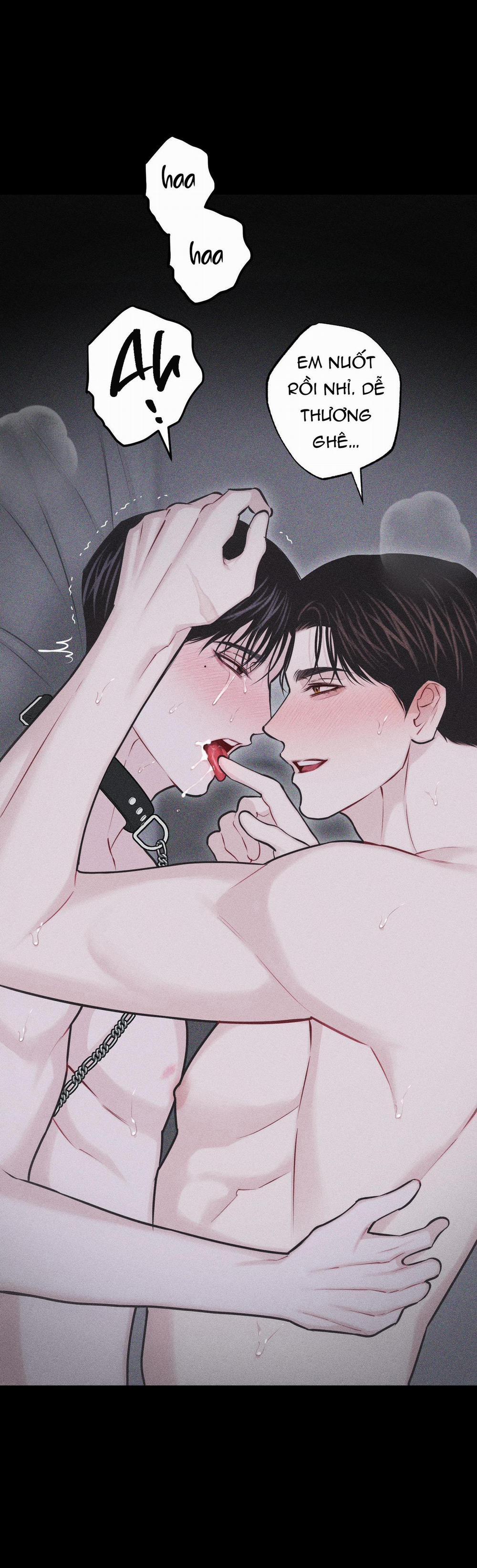 Hình Thái Tình Tan 31 H++ trang 33