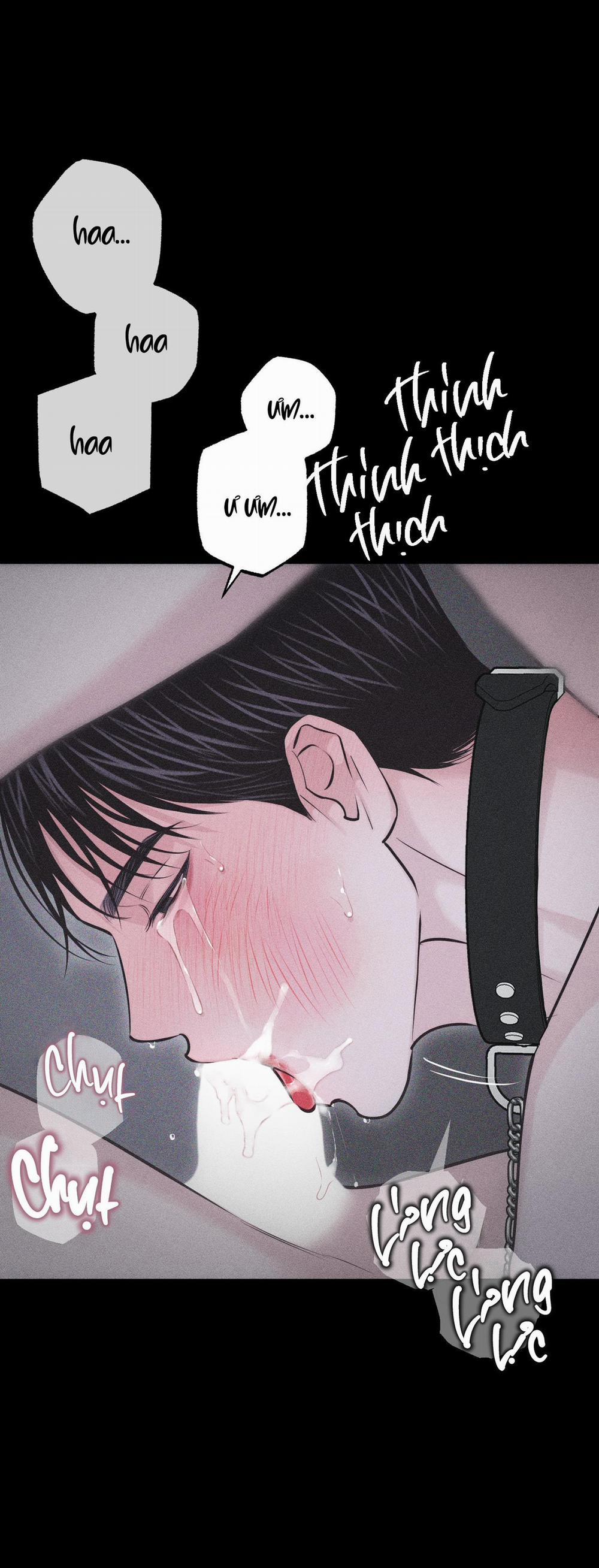 Hình Thái Tình Tan 31 trang 31