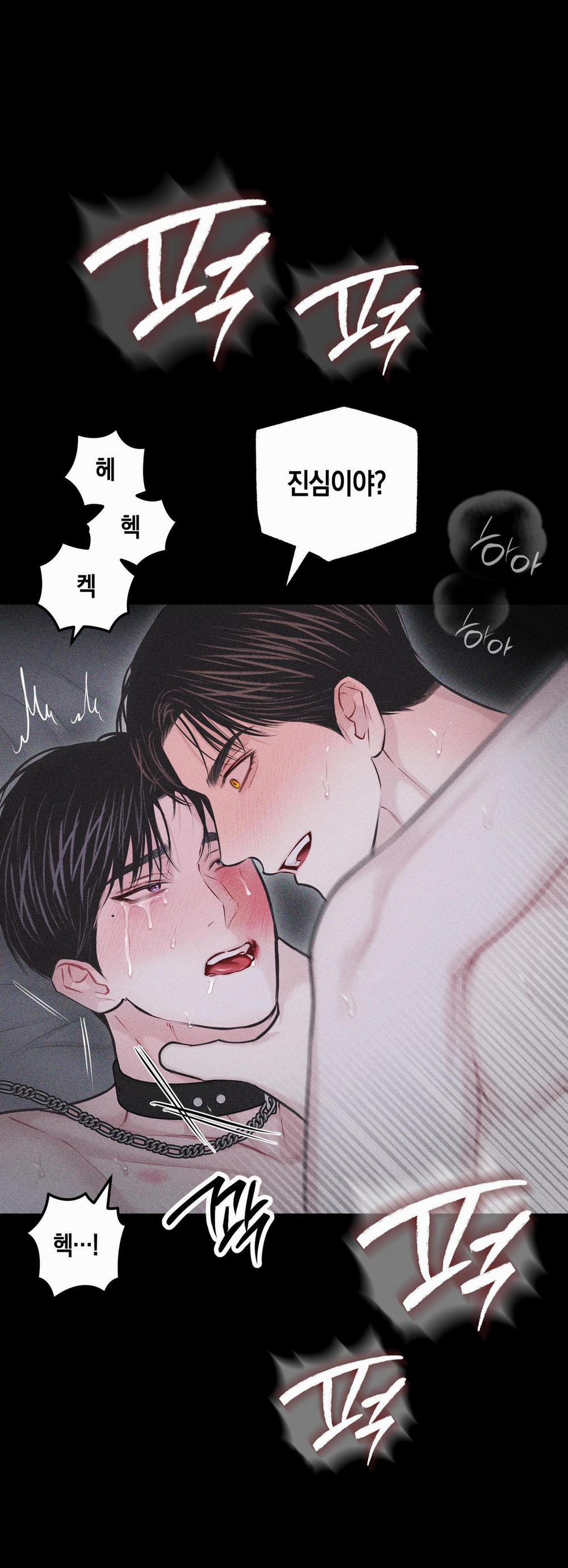 Hình Thái Tình Tan 31 trang 46