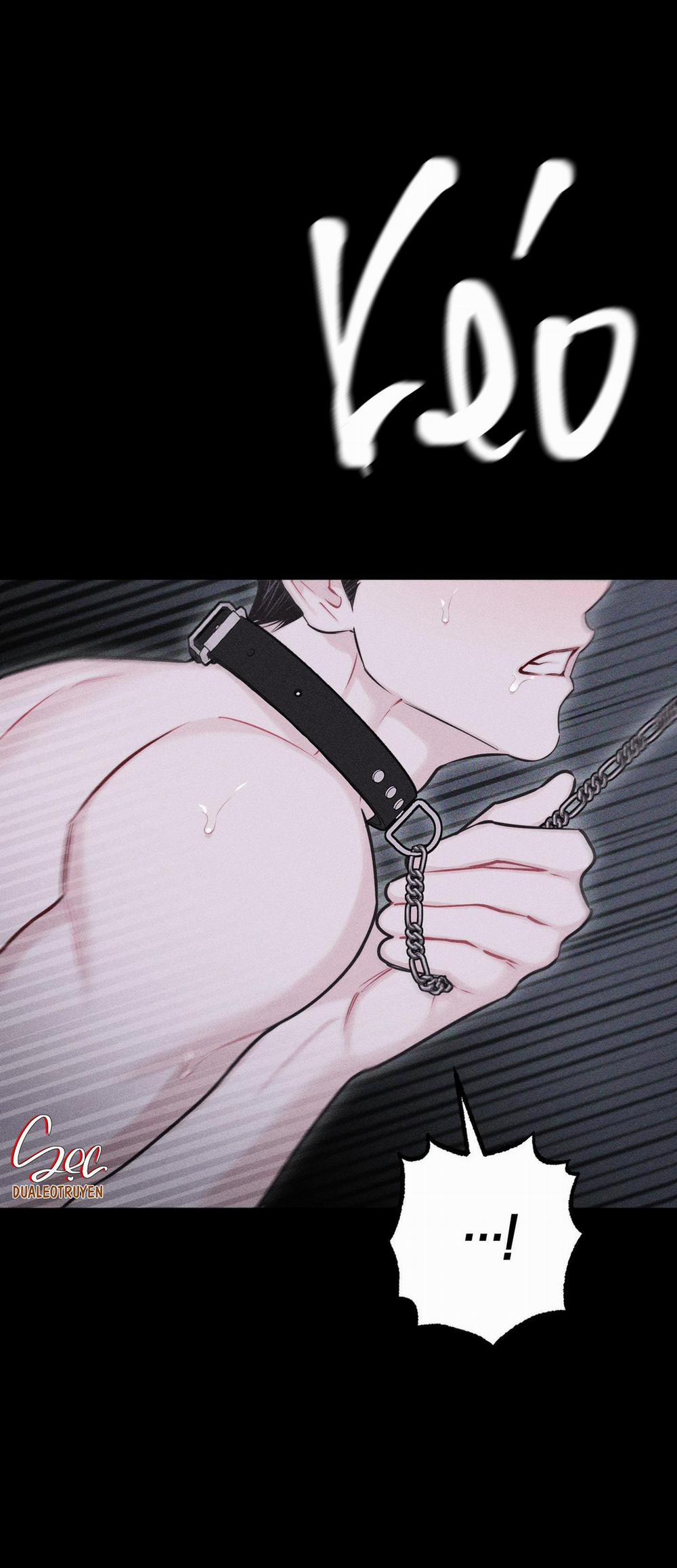 Hình Thái Tình Tan 32 trang 17