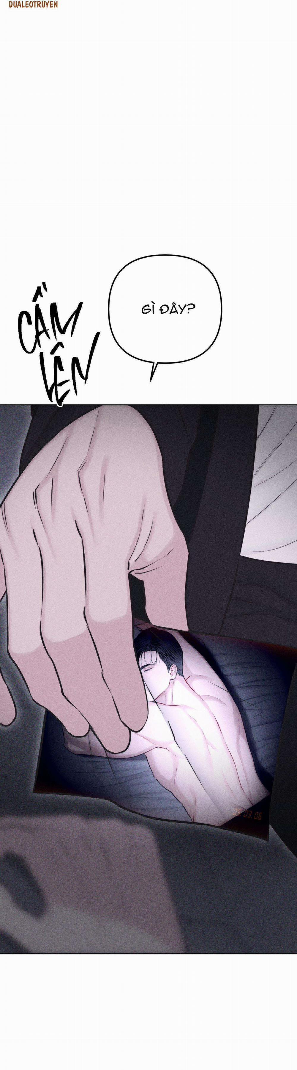 Hình Thái Tình Tan 34 trang 46