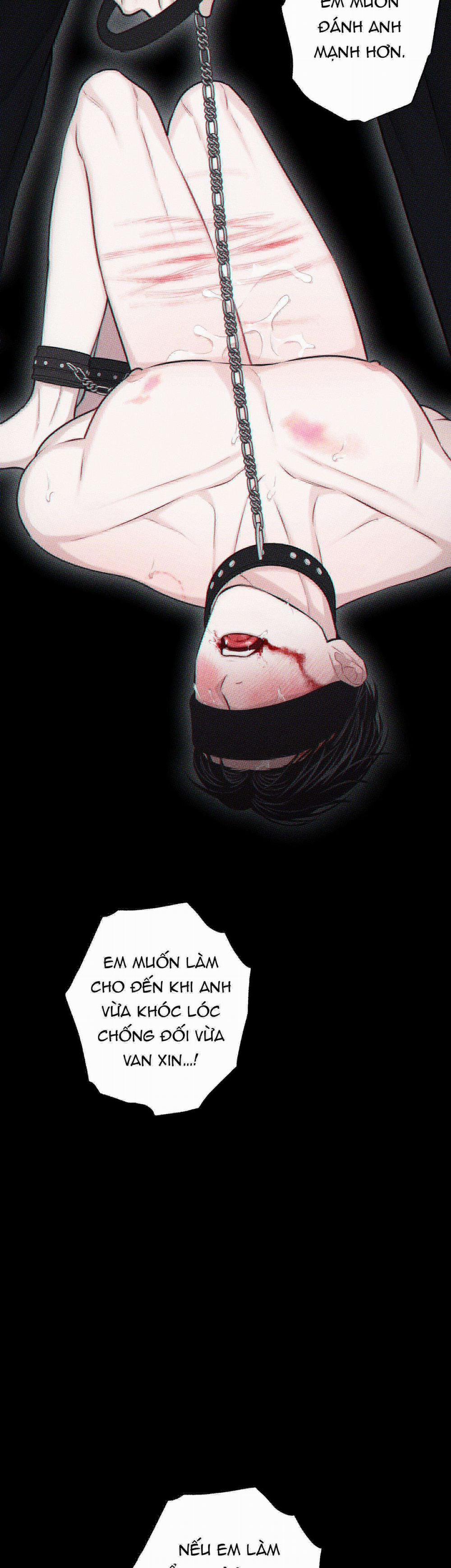 Hình Thái Tình Tan 36 trang 29