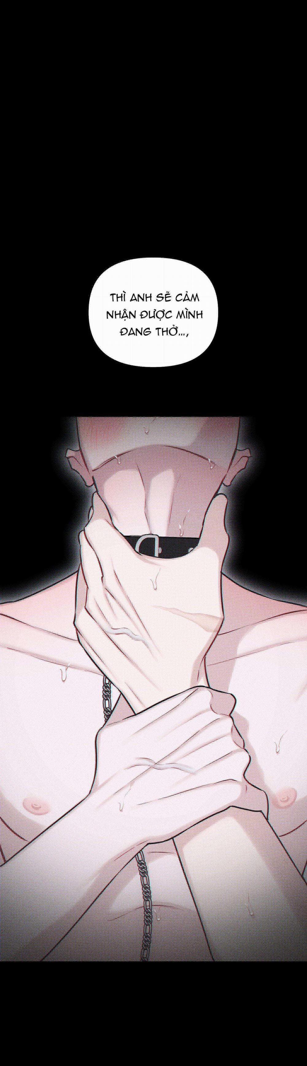 Hình Thái Tình Tan 36 trang 37