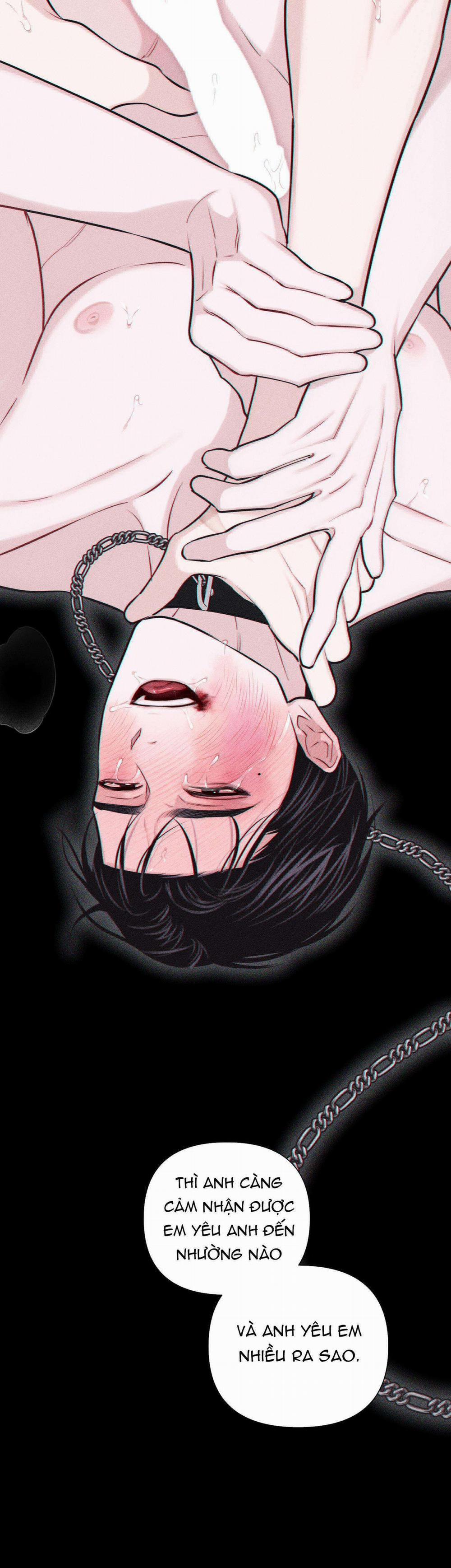 Hình Thái Tình Tan 36 trang 39