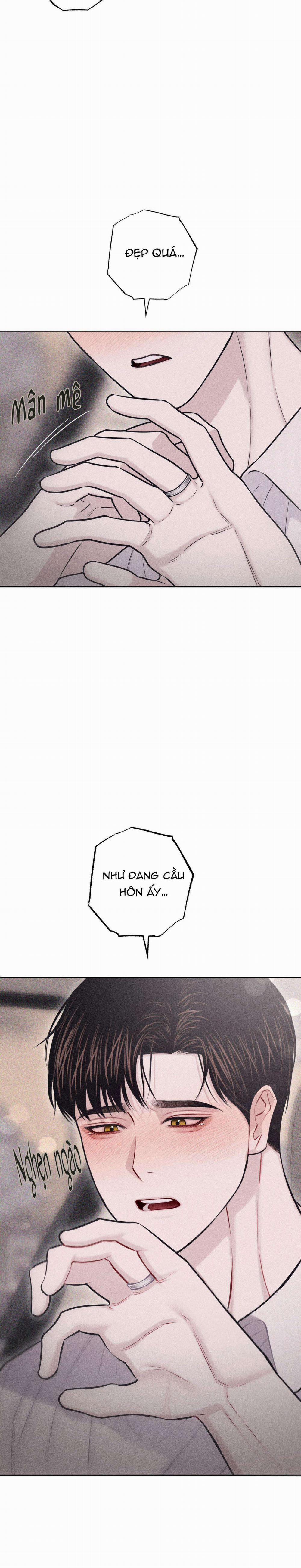 Hình Thái Tình Tan 37 trang 14