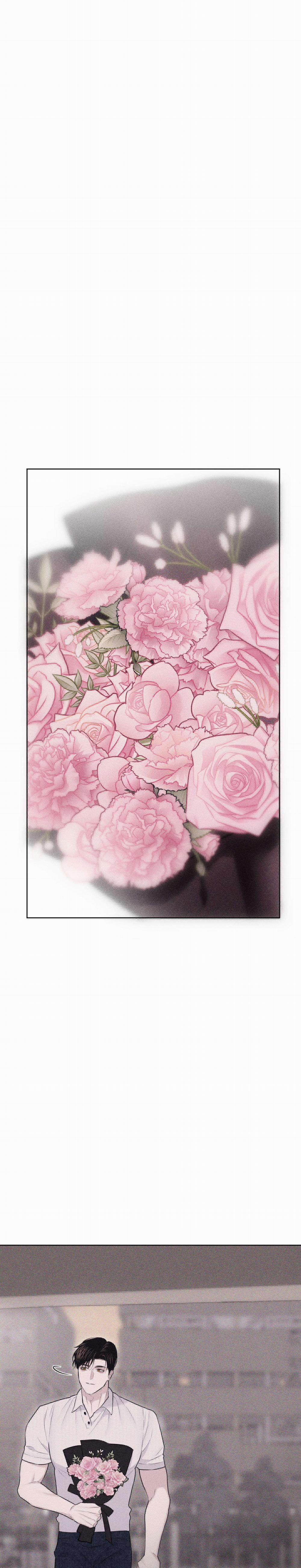 Hình Thái Tình Tan 37 trang 5