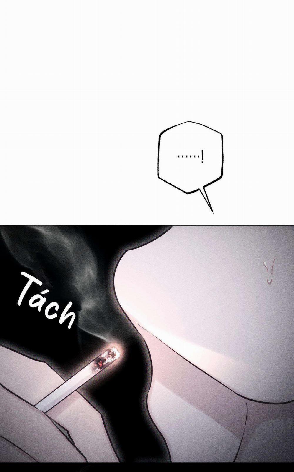 Hình Thái Tình Tan 38 trang 43