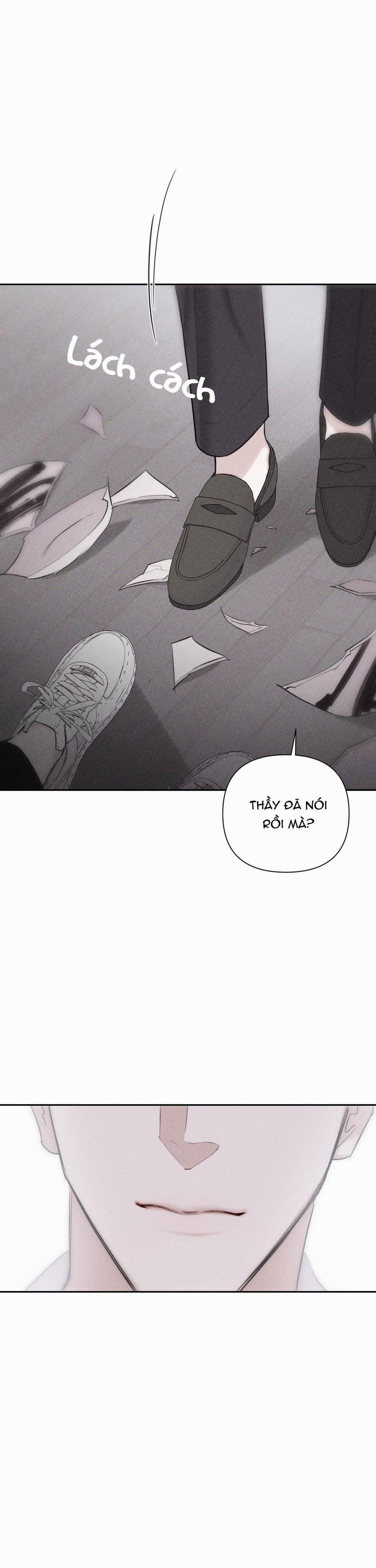 Hình Thái Tình Tan 4 trang 24