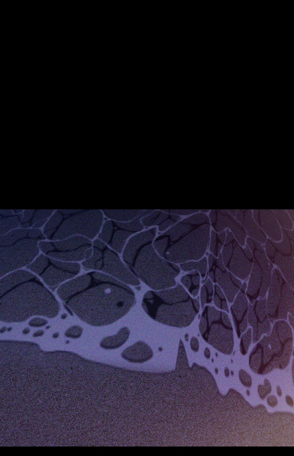 Hình Thái Tình Tan 42 0 trang 62