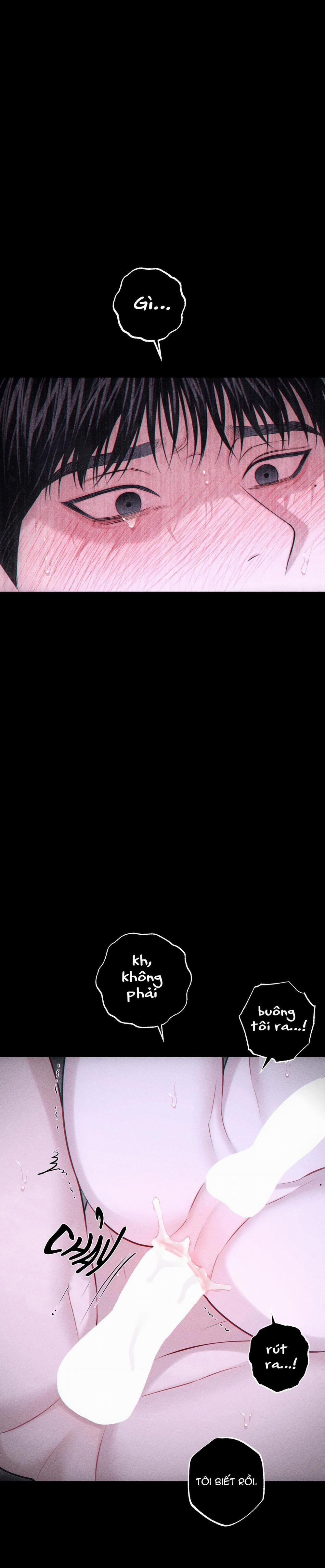 Hình Thái Tình Tan 43 H+ trang 7