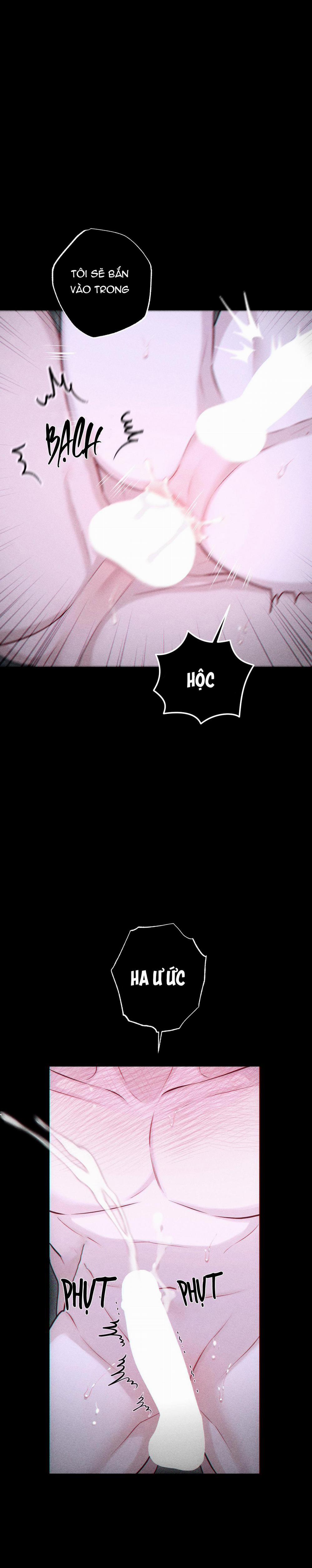 Hình Thái Tình Tan 43 H+ trang 8