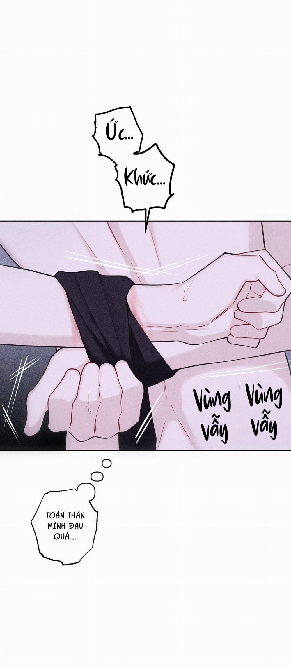 Hình Thái Tình Tan 47 0 0 trang 27