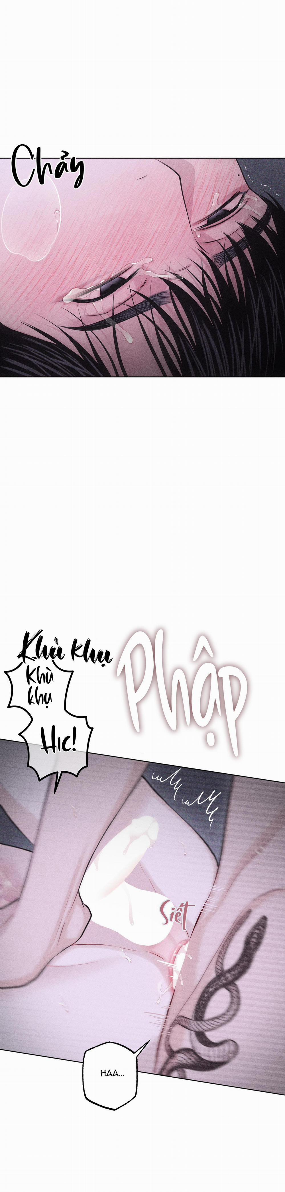 Hình Thái Tình Tan 47 0 0 trang 41