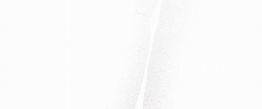 Hình Thái Tình Tan 5 trang 141