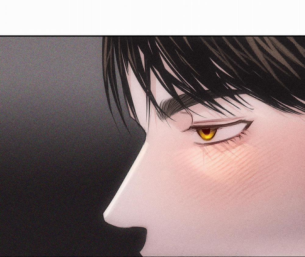 Hình Thái Tình Tan 5 trang 175