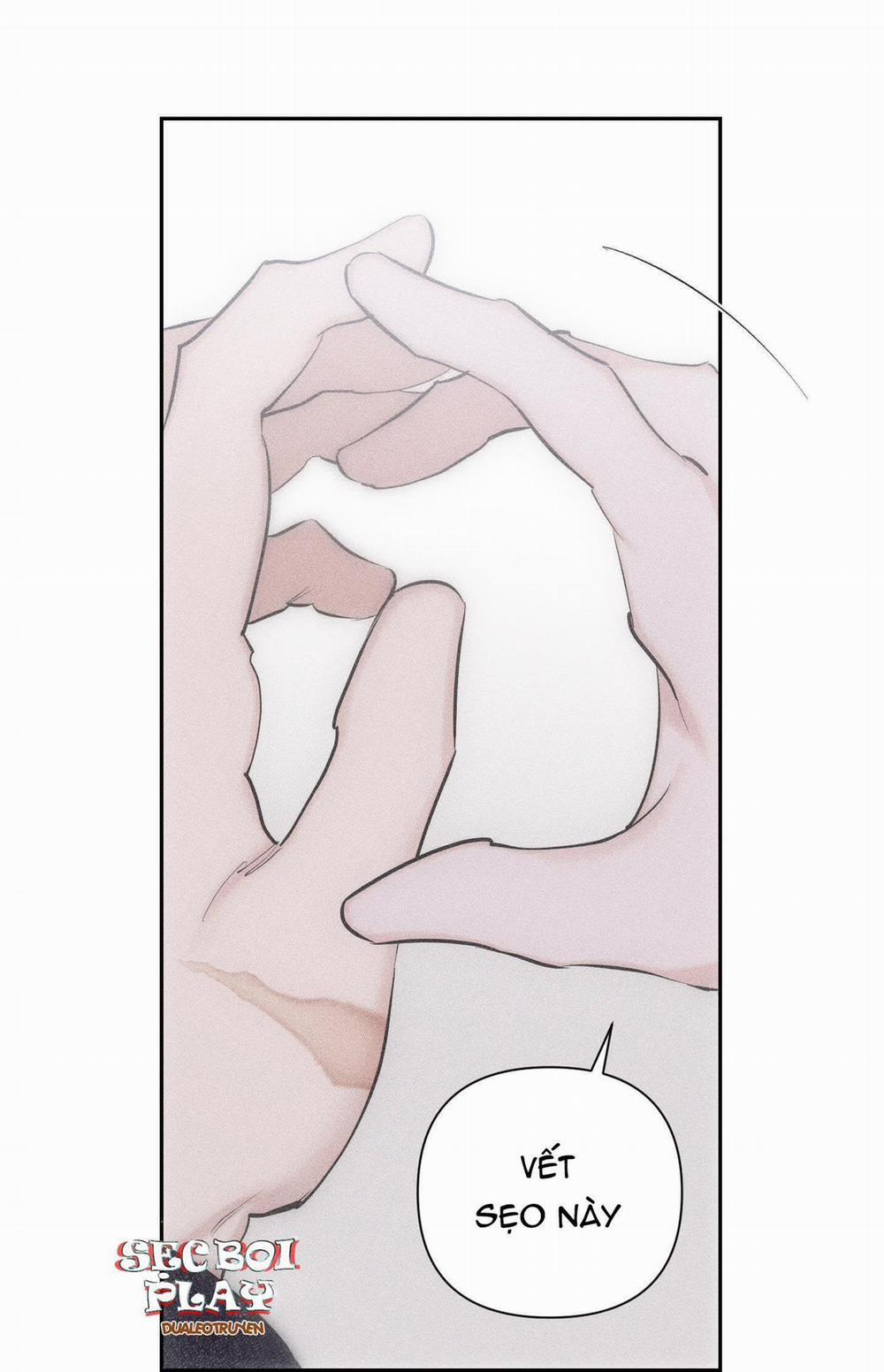 Hình Thái Tình Tan 5 trang 21