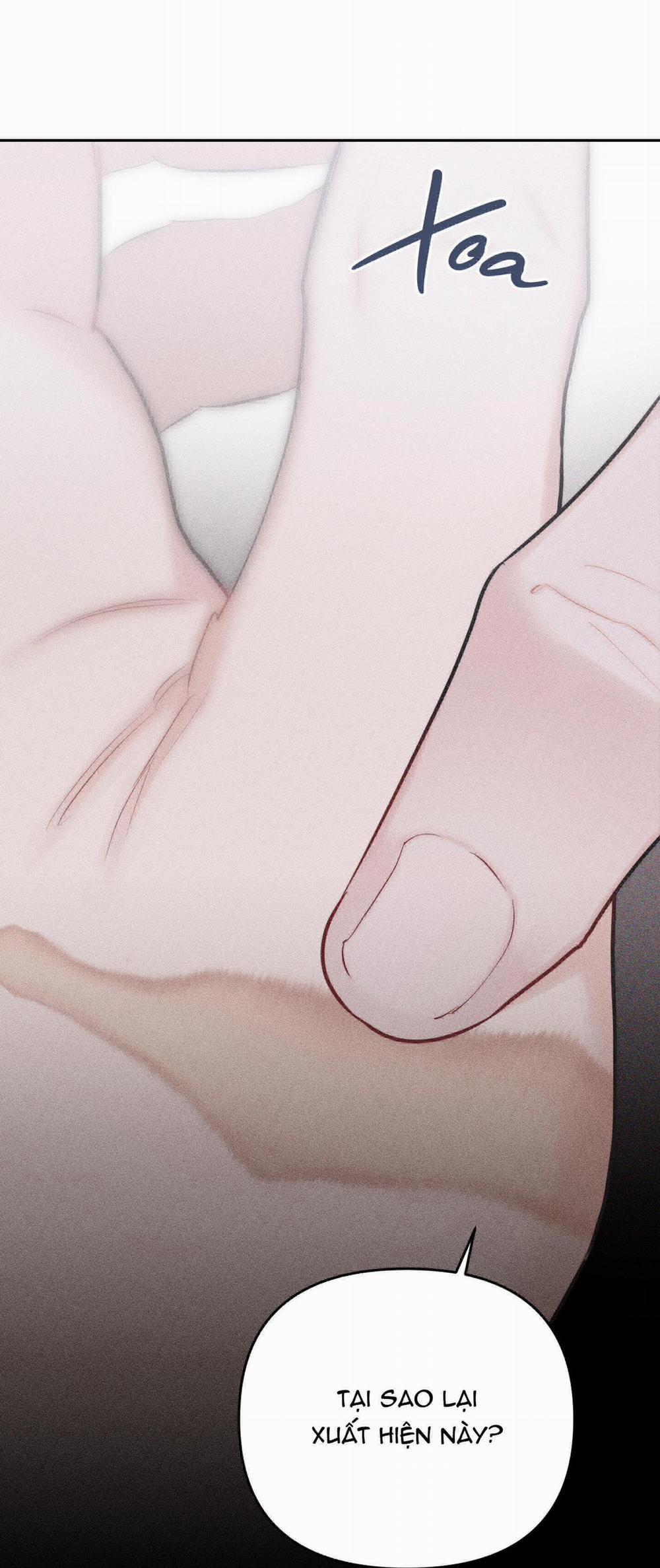 Hình Thái Tình Tan 5 trang 24