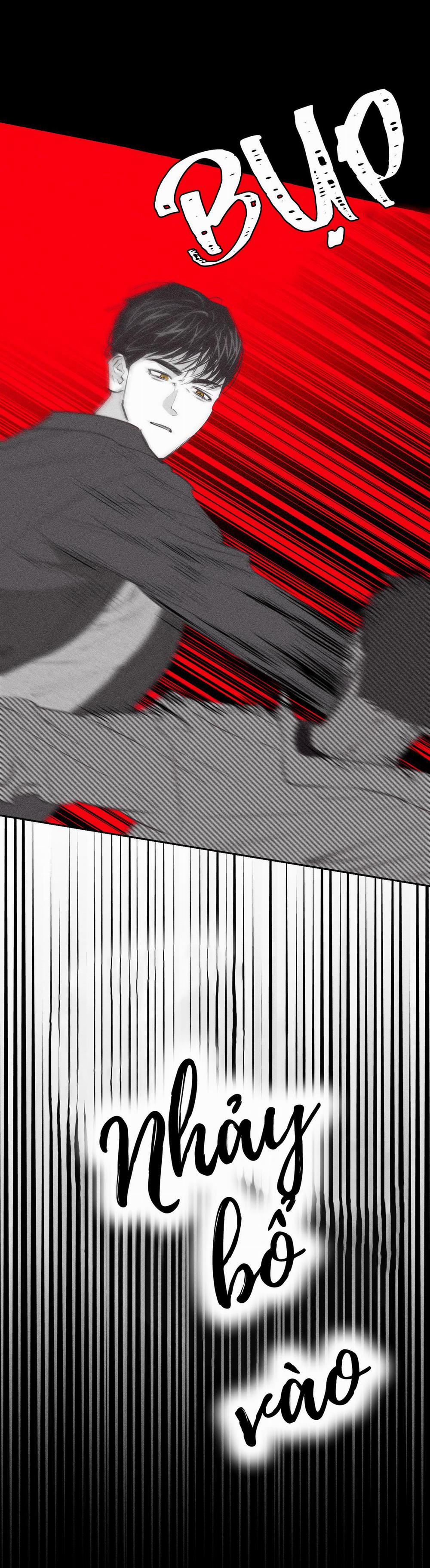 Hình Thái Tình Tan 5 trang 94